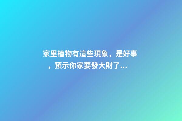 家里植物有這些現象，是好事，預示你家要發大財了！